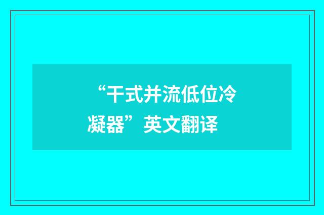 “干式并流低位冷凝器”英文翻译