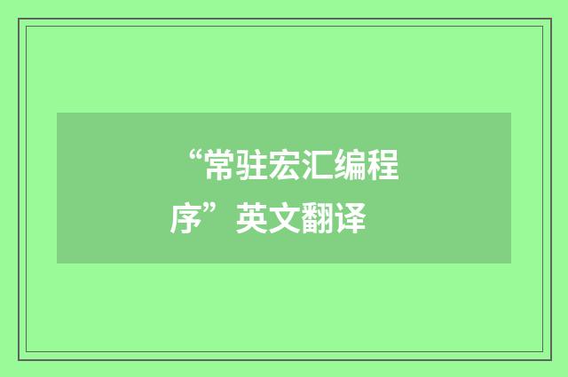 “常驻宏汇编程序”英文翻译