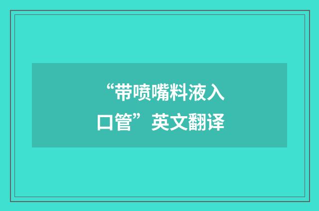 “带喷嘴料液入口管”英文翻译