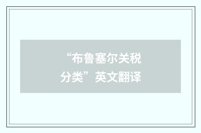 “布鲁塞尔关税分类”英文翻译