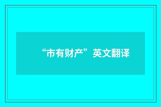 “市有财产”英文翻译