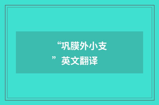 “巩膜外小支”英文翻译