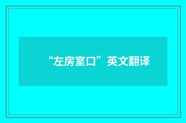 “左房室口”英文翻译