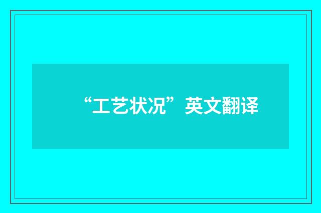 “工艺状况”英文翻译