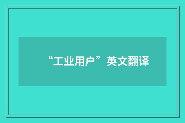 “工业用户”英文翻译