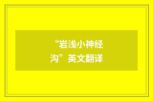 “岩浅小神经沟”英文翻译