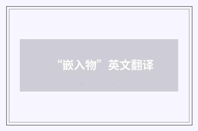 “嵌入物”英文翻译