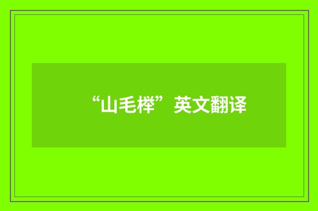 “山毛榉”英文翻译