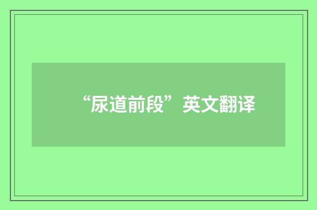 “尿道前段”英文翻译