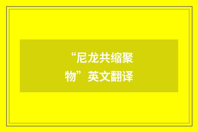 “尼龙共缩聚物”英文翻译