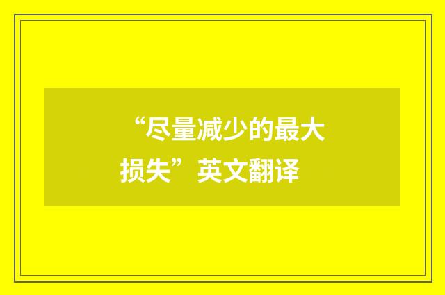 “尽量减少的最大损失”英文翻译