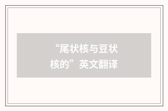 “尾状核与豆状核的”英文翻译