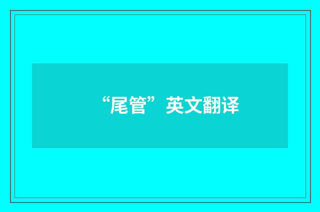 “尾管”英文翻译