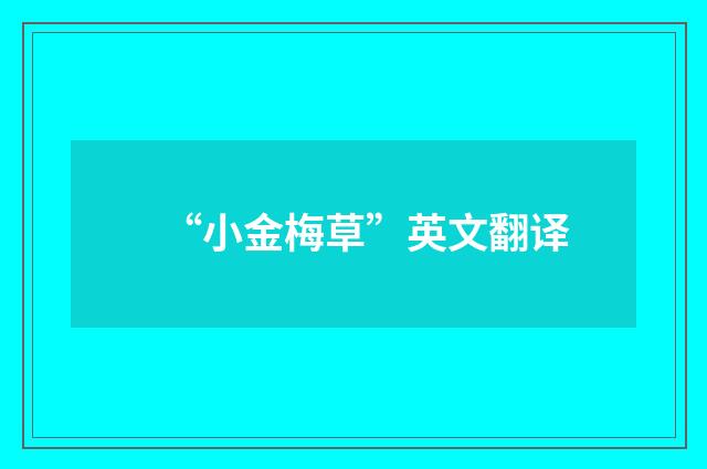 “小金梅草”英文翻译