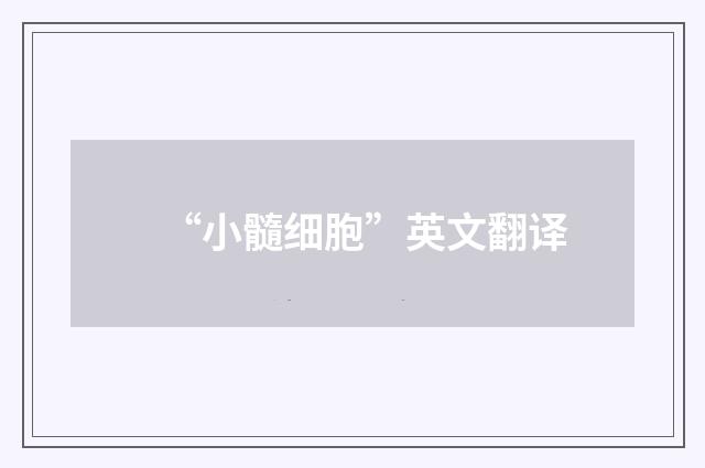 “小髓细胞”英文翻译