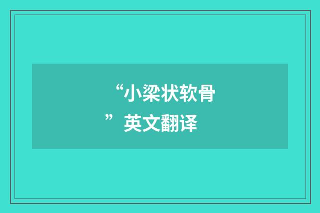 “小梁状软骨”英文翻译