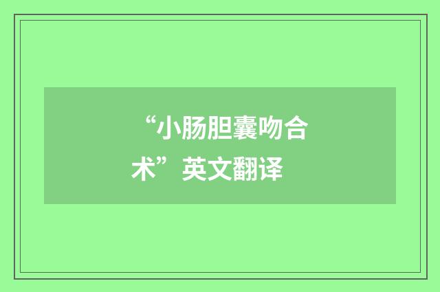 “小肠胆囊吻合术”英文翻译