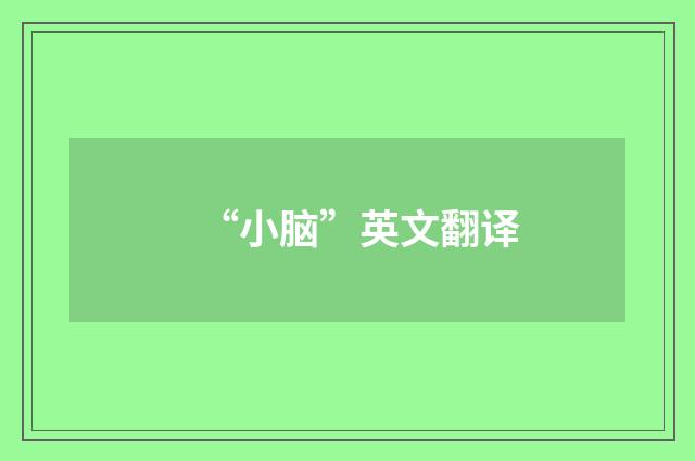 “小脑”英文翻译