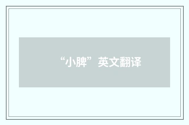 “小脾”英文翻译