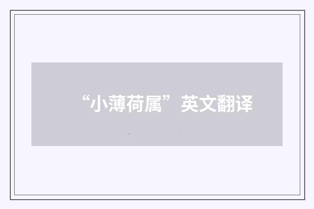 “小薄荷属”英文翻译