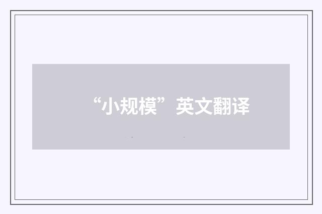 “小规模”英文翻译