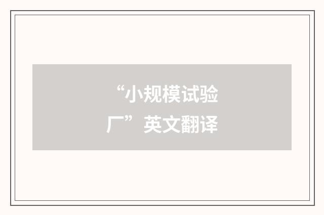 “小规模试验厂”英文翻译