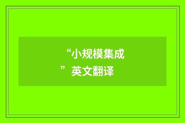 “小规模集成”英文翻译