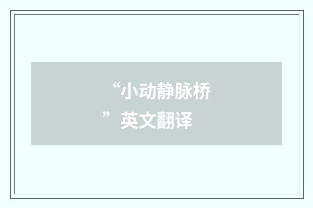 “小动静脉桥”英文翻译