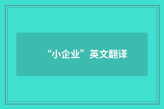 “小企业”英文翻译