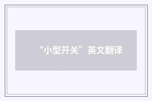 “小型开关”英文翻译