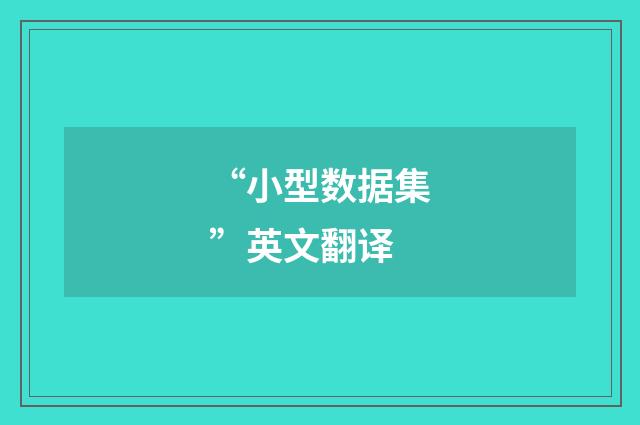 “小型数据集”英文翻译