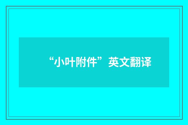 “小叶附件”英文翻译