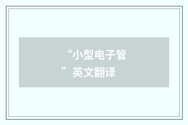 “小型电子管”英文翻译
