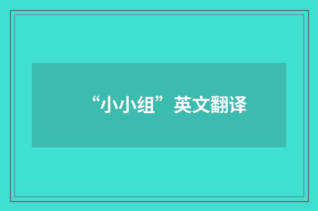 “小小组”英文翻译