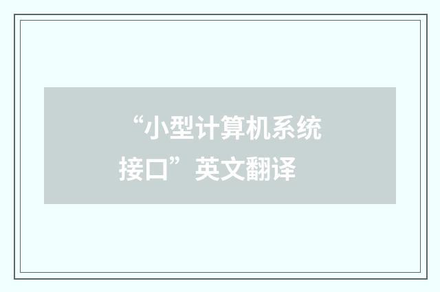“小型计算机系统接口”英文翻译