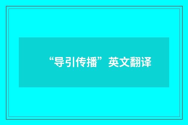 “导引传播”英文翻译