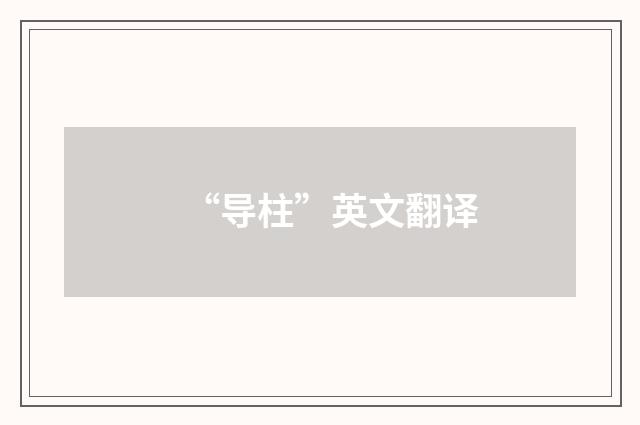 “导柱”英文翻译