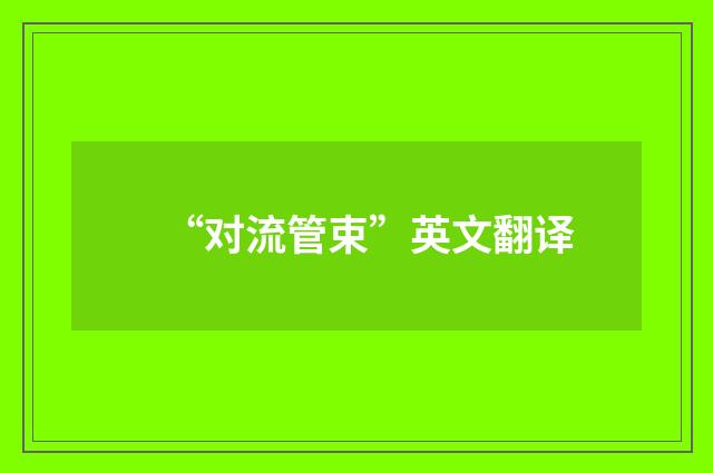 “对流管束”英文翻译