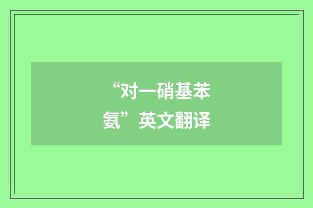 “对一硝基苯氨”英文翻译