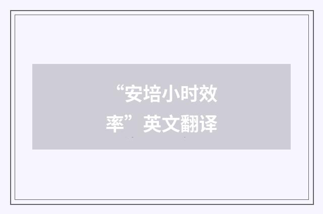 “安培小时效率”英文翻译