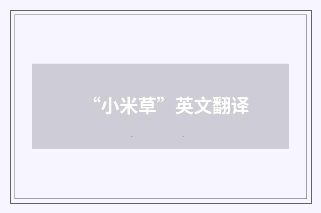 “小米草”英文翻译
