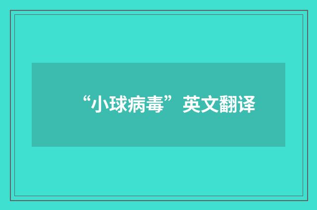 “小球病毒”英文翻译