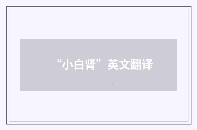 “小白肾”英文翻译