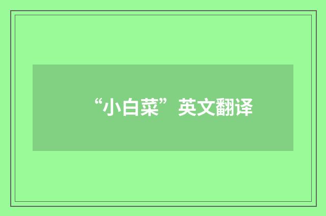 “小白菜”英文翻译