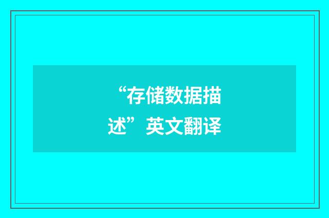 “存储数据描述”英文翻译