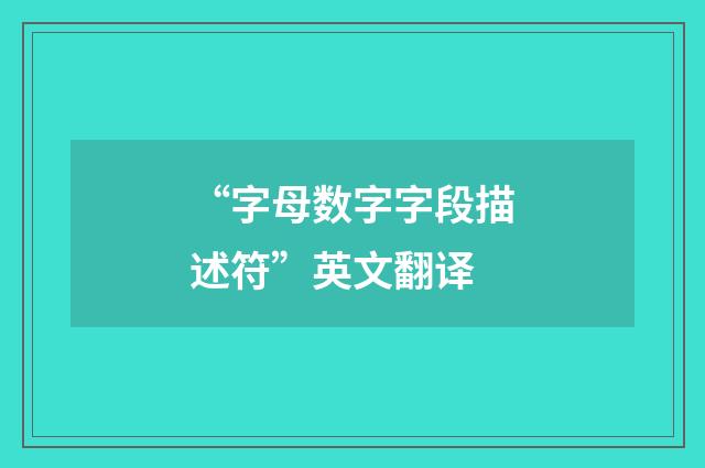 “字母数字字段描述符”英文翻译