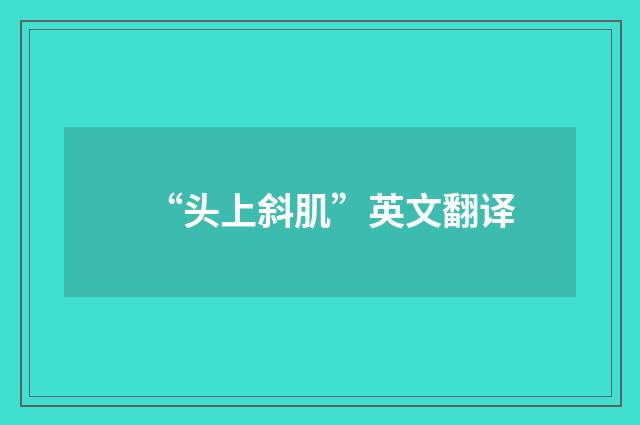 “头上斜肌”英文翻译