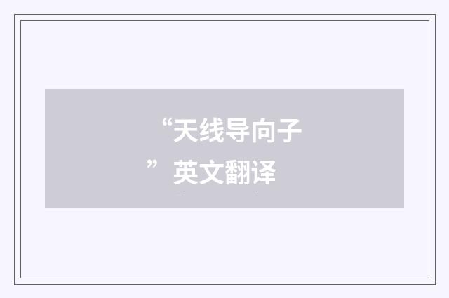 “天线导向子”英文翻译