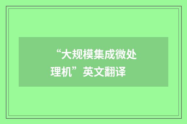 “大规模集成微处理机”英文翻译