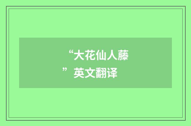 “大花仙人藤”英文翻译